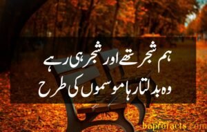 Bewafa Poetry in Urdu 2 Lines