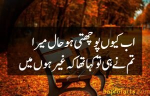 Bewafa Poetry in Urdu 2 Lines