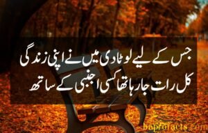 Bewafa Poetry in Urdu 2 Lines