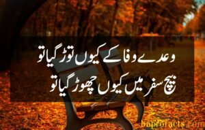 Bewafa Poetry in Urdu 2 Lines