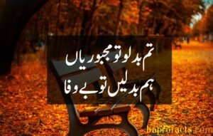 Bewafa Poetry in Urdu 2 Lines