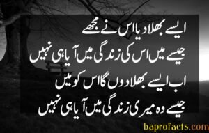 Bewafa Poetry in Urdu 2 Lines