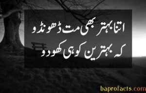 Bewafa Poetry in Urdu 2 Lines