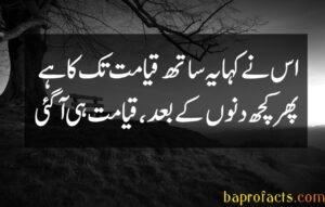 Bewafa Poetry in Urdu 2 Lines