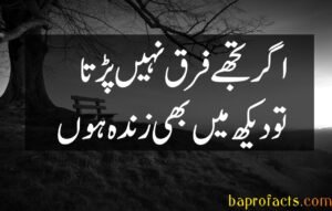 Bewafa Poetry in Urdu 2 Lines