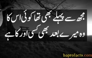 Bewafa Poetry in Urdu 2 Lines