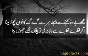 Bewafa Poetry in Urdu 2 Lines