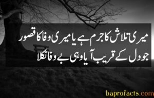 Bewafa Poetry in Urdu 2 Lines