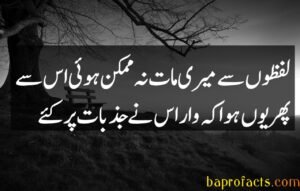 Bewafa Poetry in Urdu 2 Lines