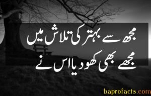 Bewafa Poetry in Urdu 2 Lines