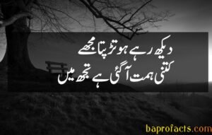 Bewafa Poetry in Urdu 2 Lines