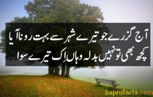 Bewafa Poetry in Urdu 2 Lines