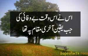 Bewafa Poetry in Urdu 2 Lines