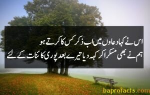 Bewafa Poetry in Urdu 2 Lines