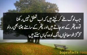 Bewafa Poetry in Urdu 2 Lines