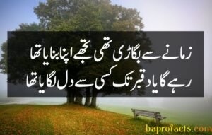 Bewafa Poetry in Urdu 2 Lines