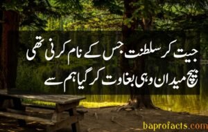 Bewafa Poetry in Urdu 2 Lines