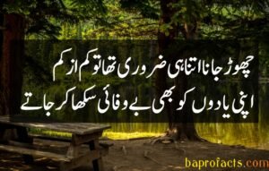 Bewafa Poetry in Urdu 2 Lines