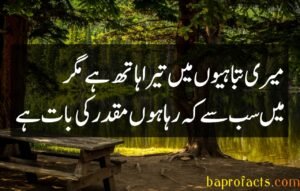 Bewafa Poetry in Urdu 2 Lines