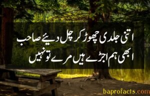 Bewafa Poetry in Urdu 2 Lines