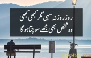 Bewafa Poetry in Urdu 2 Lines