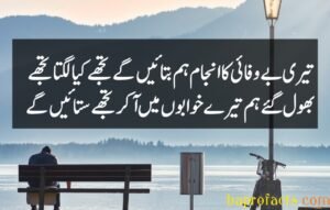 Bewafa Poetry in Urdu 2 Lines