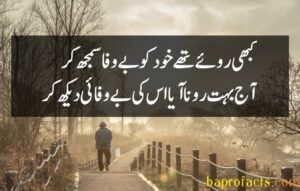 Bewafa Poetry in Urdu 2 Lines