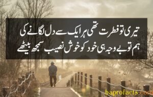 Bewafa Poetry in Urdu 2 Lines