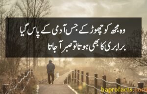 Bewafa Poetry in Urdu 2 Lines