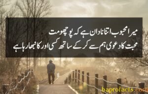 Bewafa Poetry in Urdu 2 Lines