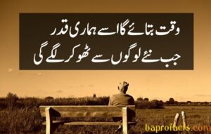 Bewafa Poetry in Urdu 2 Lines