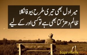 Bewafa Poetry in Urdu 2 Lines