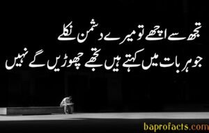 Bewafa Poetry in Urdu 2 Lines