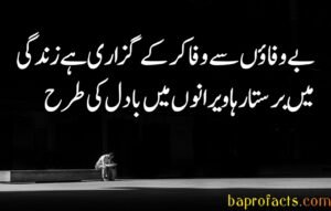 Bewafa Poetry in Urdu 2 Lines