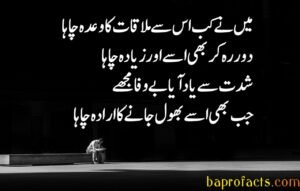 Bewafa Poetry in Urdu 2 Lines