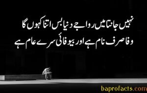 Bewafa Poetry in Urdu 2 Lines