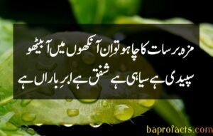 Barsaat Poetry in Urdu 