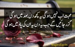 Love Poetry in Urdu